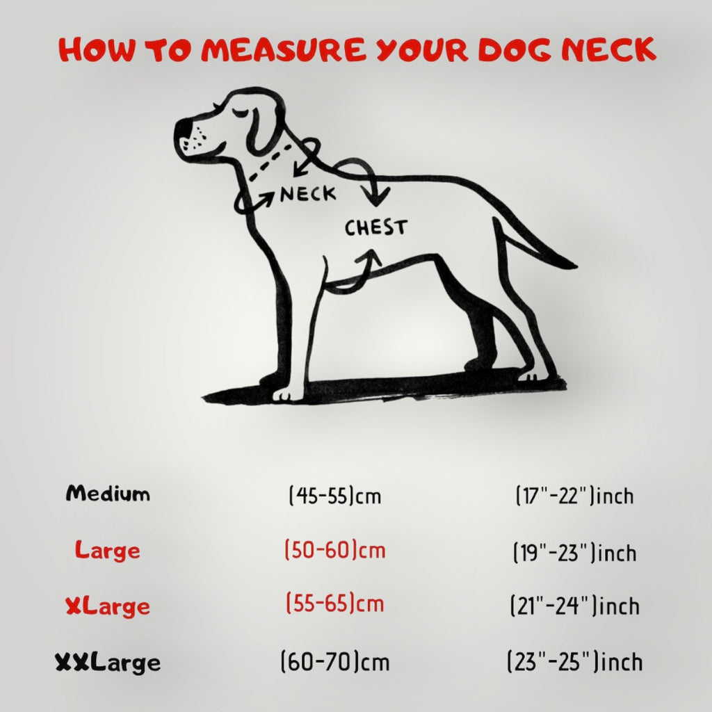 A&C Dog Collars köpek tasması ve göğüs tasması için boyun ve göğüs ölçüsü alma rehberi çizimi