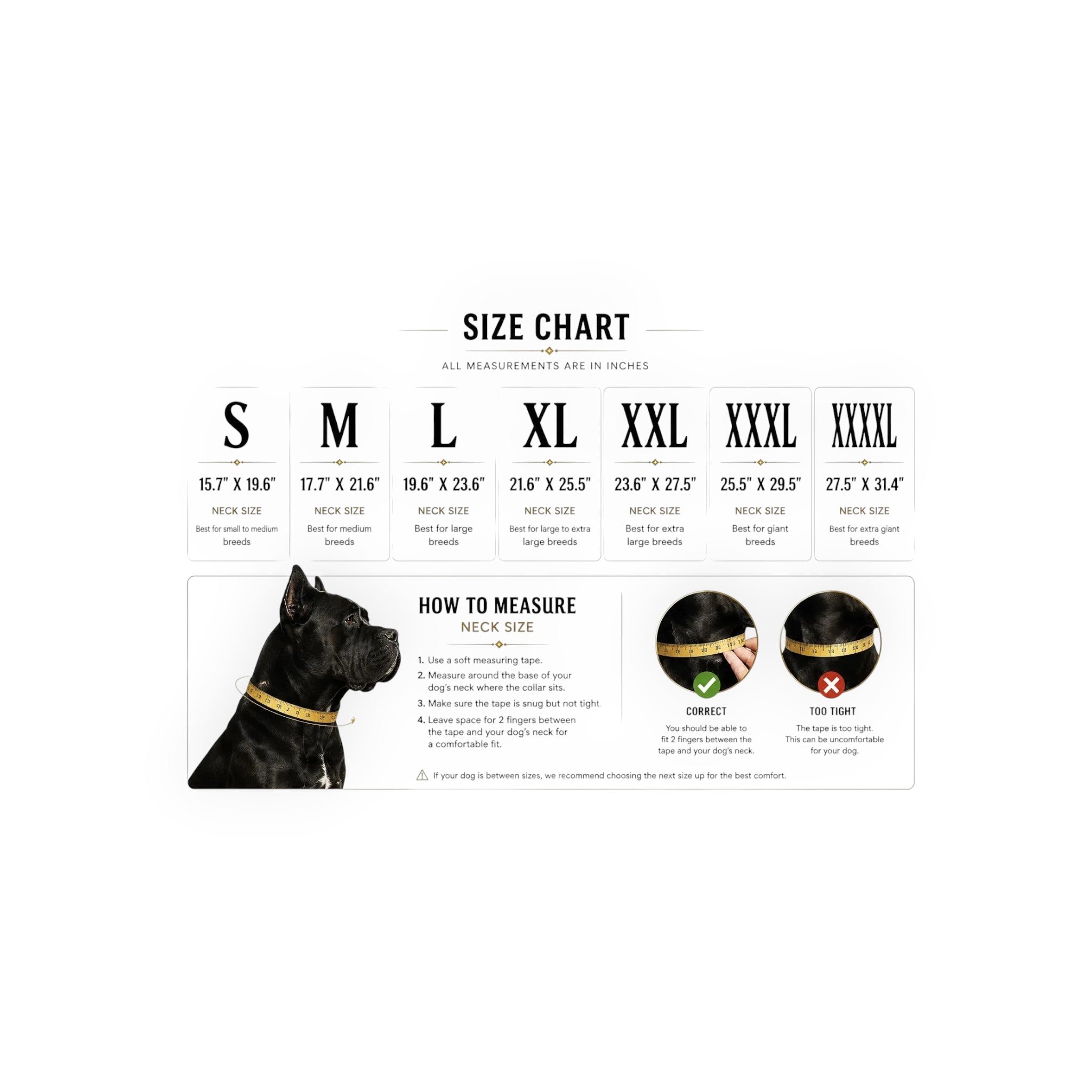 A&C Dog Collars köpek tasması beden tablosu ve boyun ölçüsü alma rehberi görseli