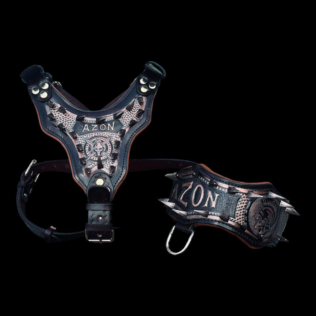 A&C Dog Collars handmade black leather harness and collar set with personalized copper plates and spiked accents.