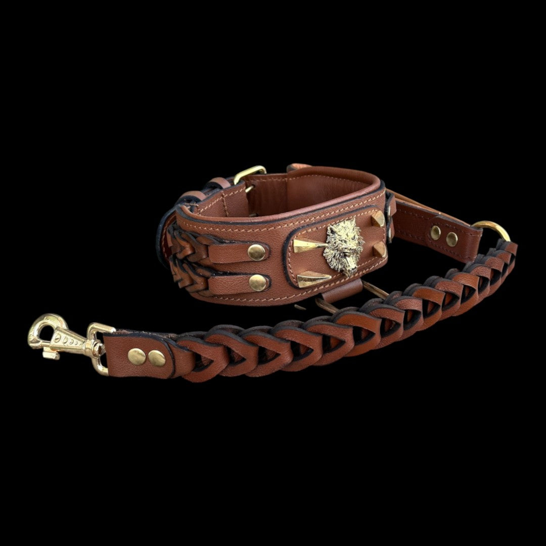 A&C Dog Collars el yapımı, kurt figürlü, kahverengi örgülü deri köpek tasması ve uyumlu deri tasma kayışı.