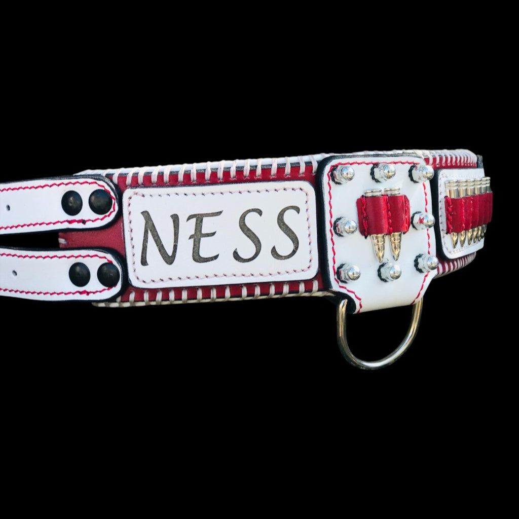 A&C Dog Collars personalized red and white buffalo leather dog collar with brass bullet accents and name engraving