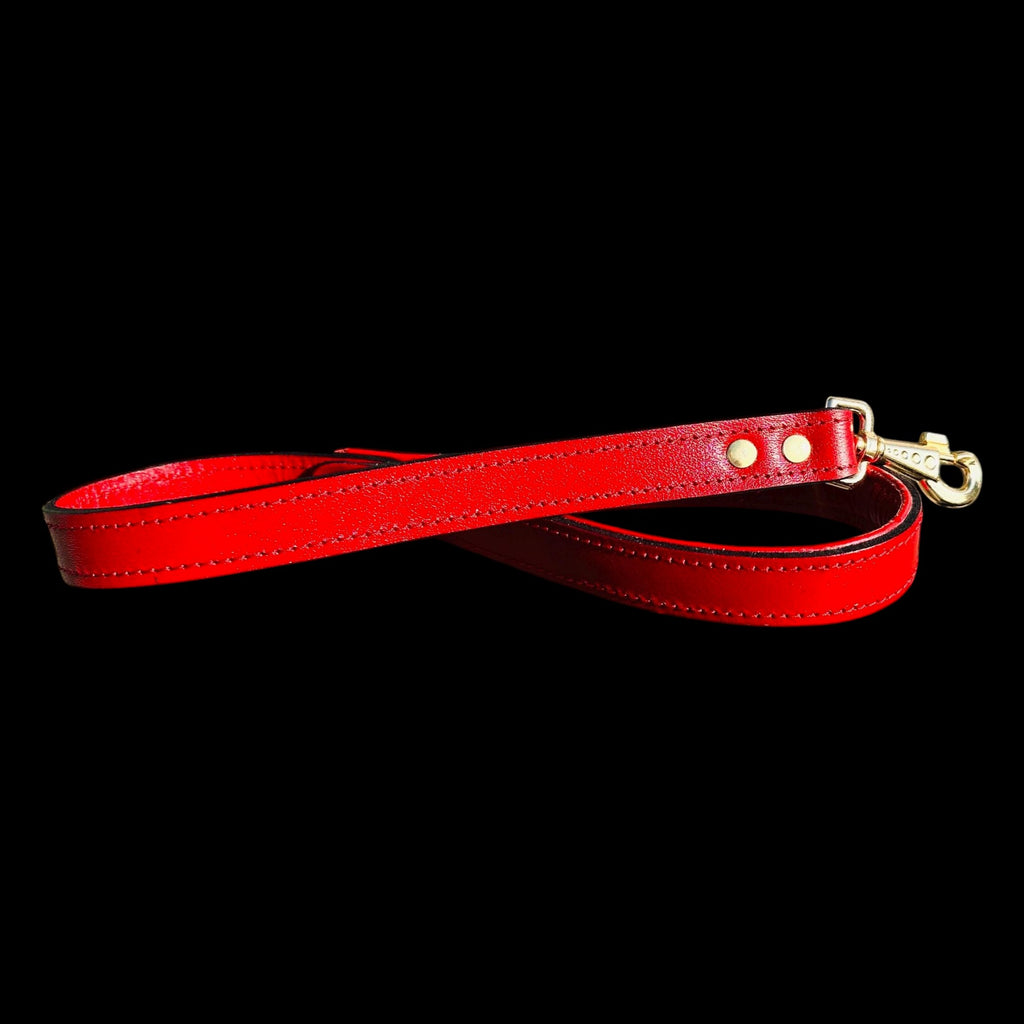 A&C Dog Collars red buffalo leather dog leash with gold-tone hardware and hand-riveted details on black background