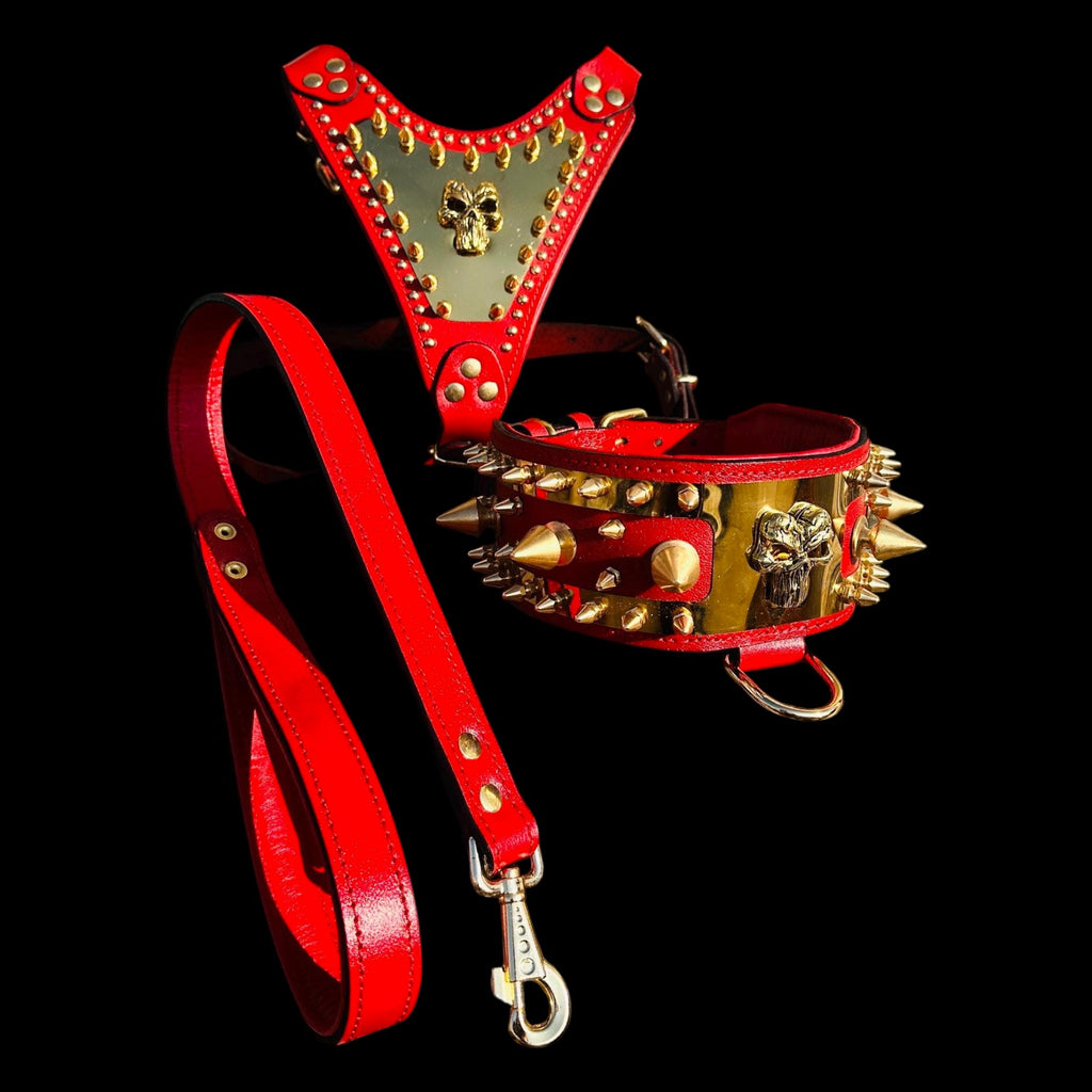A&C Dog Collars red buffalo leather harness, spiked collar with gold Punisher logo, and matching leather leash set.