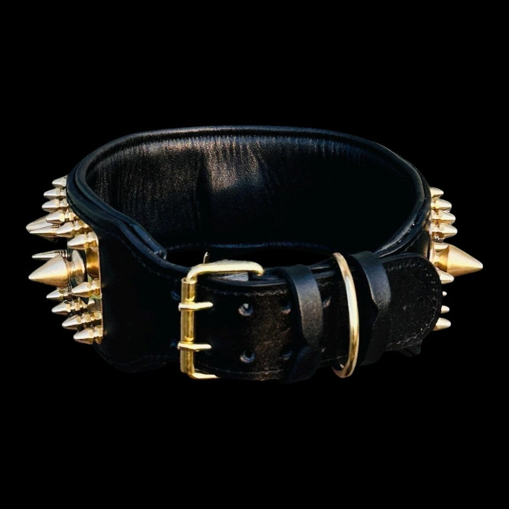 A&C Dog Collars marka, büyük ırklar için altın renkli çivili ve çelik plakalı, siyah deri köpek tasması.
