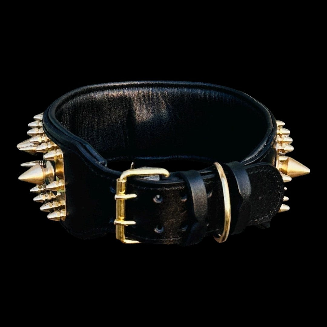A&C Dog Collars marka, büyük ırklar için altın renkli çivili ve çelik plakalı, siyah deri köpek tasması.