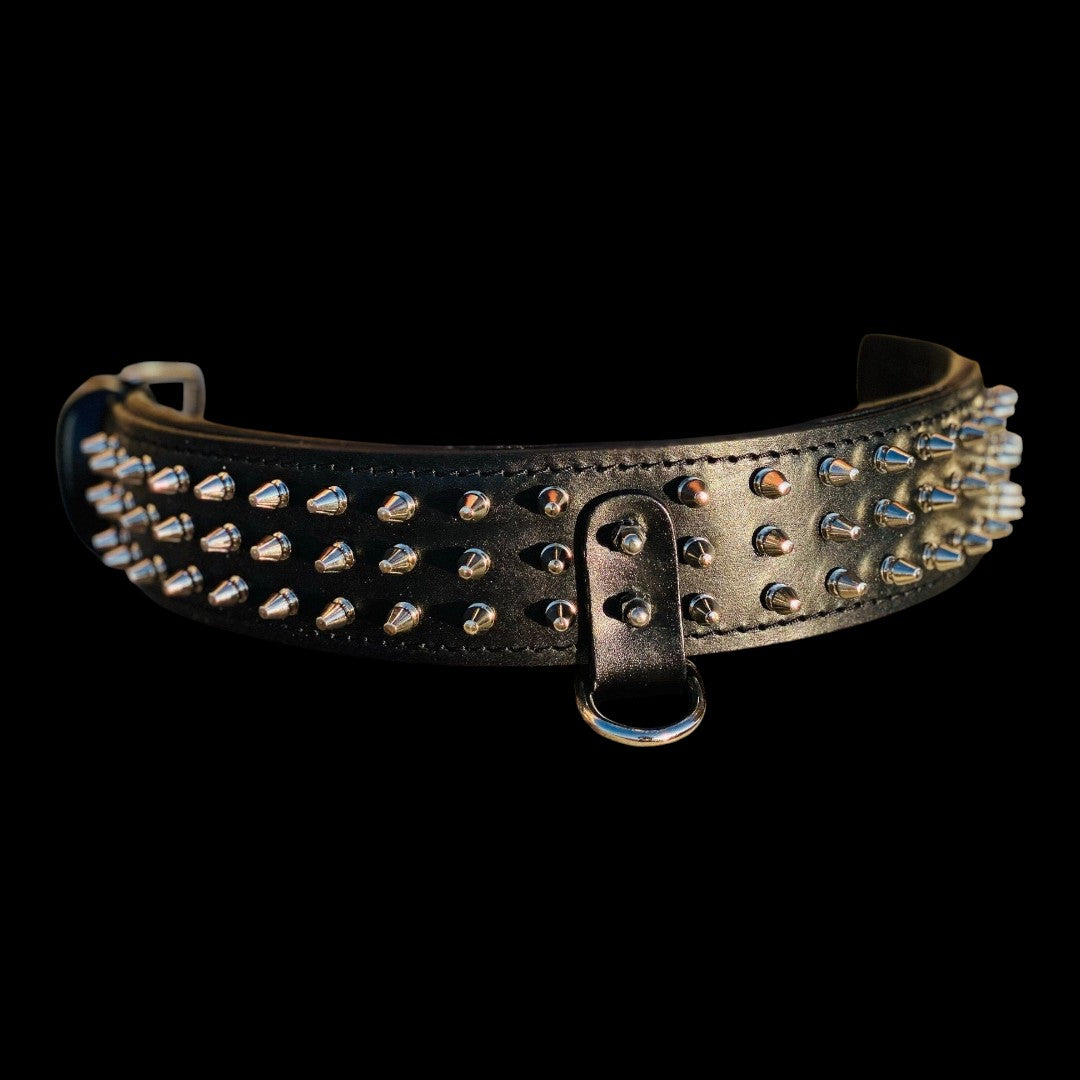 A&C Dog Collars el yapımı siyah manda derisi çivili köpek tasması, altın rengi metal detaylı ve geniş tasarımlı