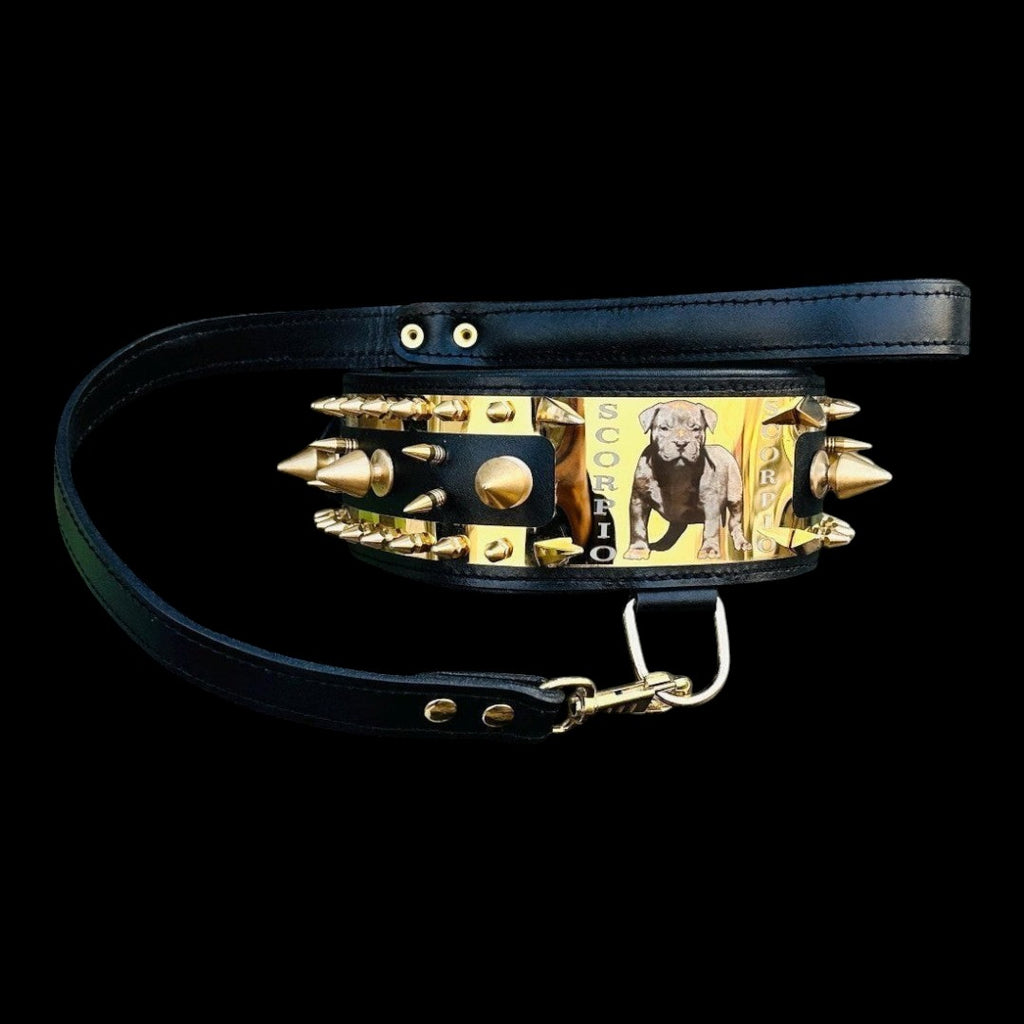 A&C Dog Collars marka, altın çelik plakalı ve sivri uçlu, siyah deri, büyük ırk köpekler için özel tasarım tasma.