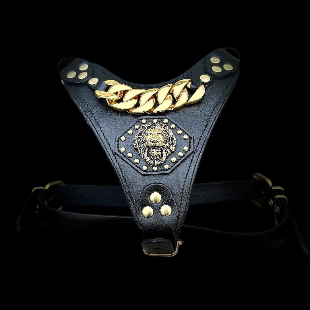 A&C Dog Collars siyah manda derisi köpek göğüs tasması, altın rengi aslan figürü ve zincir detaylı lüks tasarım.