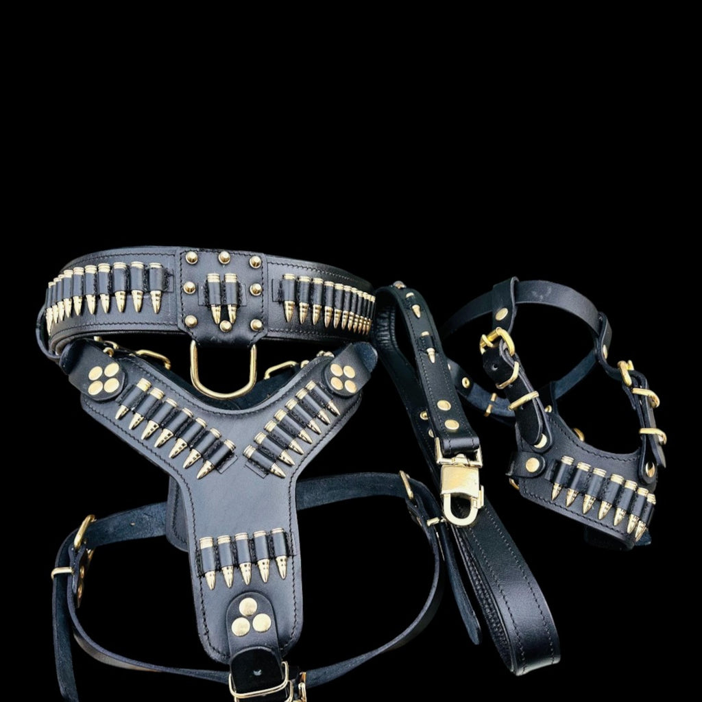 A&C Dog Collars el yapımı siyah manda derisi köpek tasma, göğüs tasması ve kayış seti, altın rengi mermi detaylı