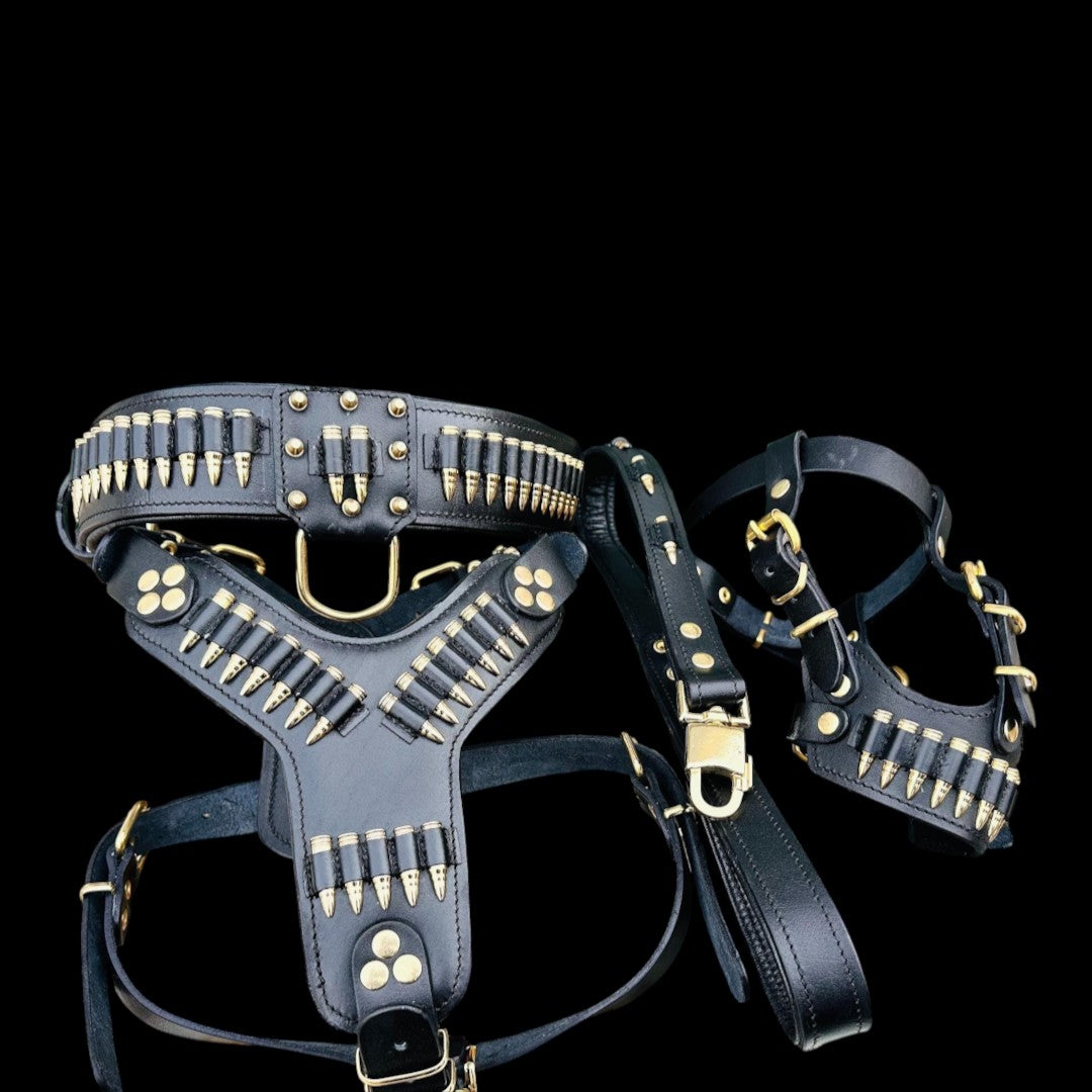 A&C Dog Collars el yapımı siyah manda derisi köpek tasma, göğüs tasması ve kayış seti, altın rengi mermi detaylı