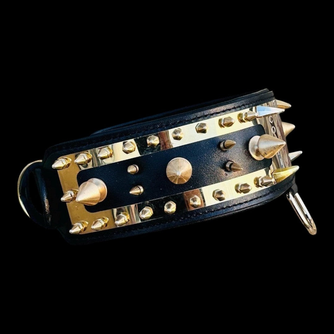 A&C Dog Collars marka, altın çelik plakalı ve sivri uçlu, büyük ırklar için el yapımı siyah deri köpek tasması.