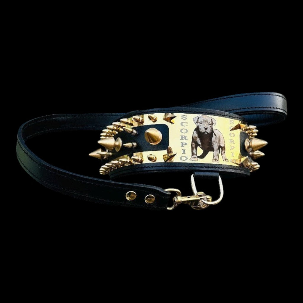 A&C Dog Collars marka, altın çelik plakalı ve sivri uçlu, özel isim yazılı, geniş siyah deri köpek tasması.