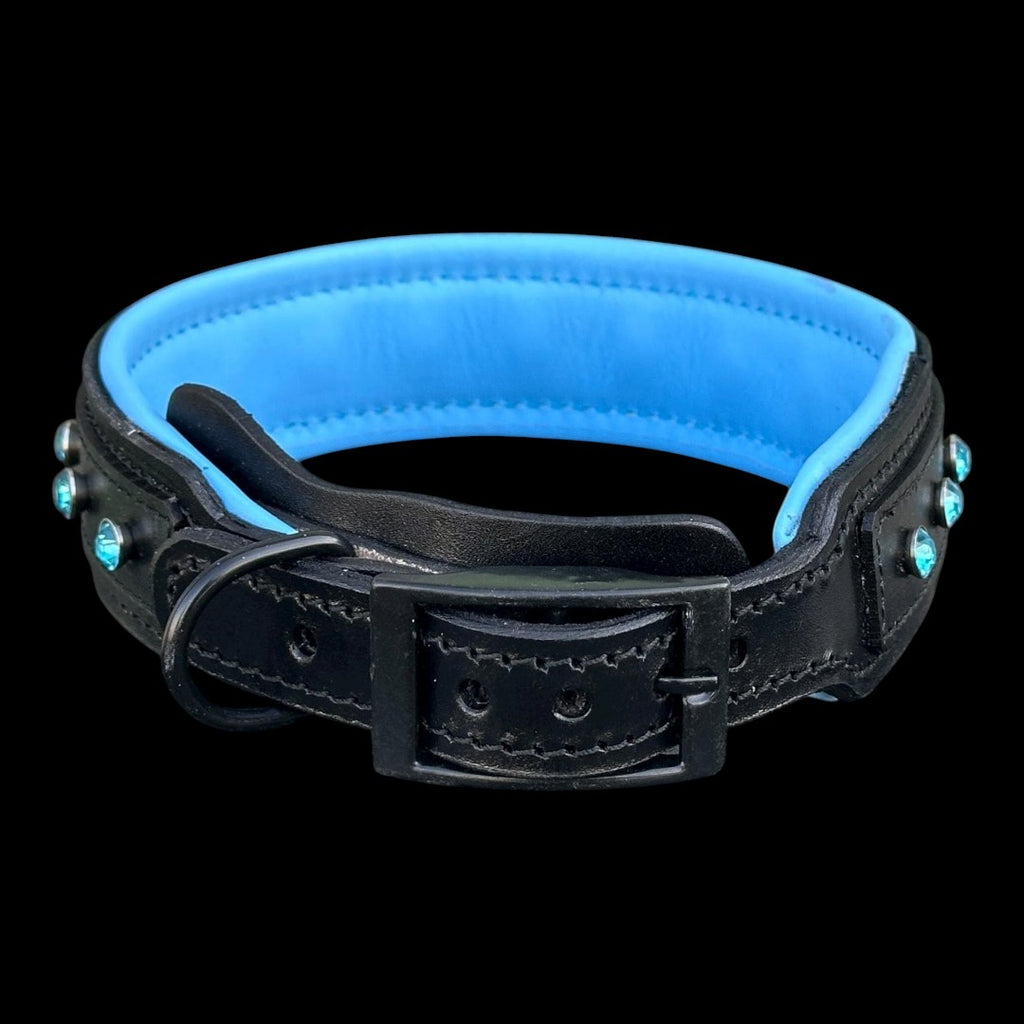 A&C Dog Collars marka, mavi kristal taşlı, siyah manda derisi, gök mavisi astarlı geniş ve dayanıklı köpek tasması.