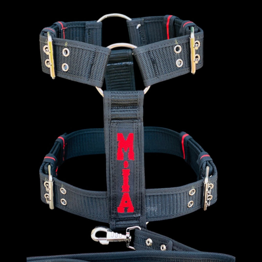 A&C Dog Collars siyah naylon köpek göğüs tasması, üzerinde kırmızı işlemeli isim detayı ve dayanıklı metal tokalar.