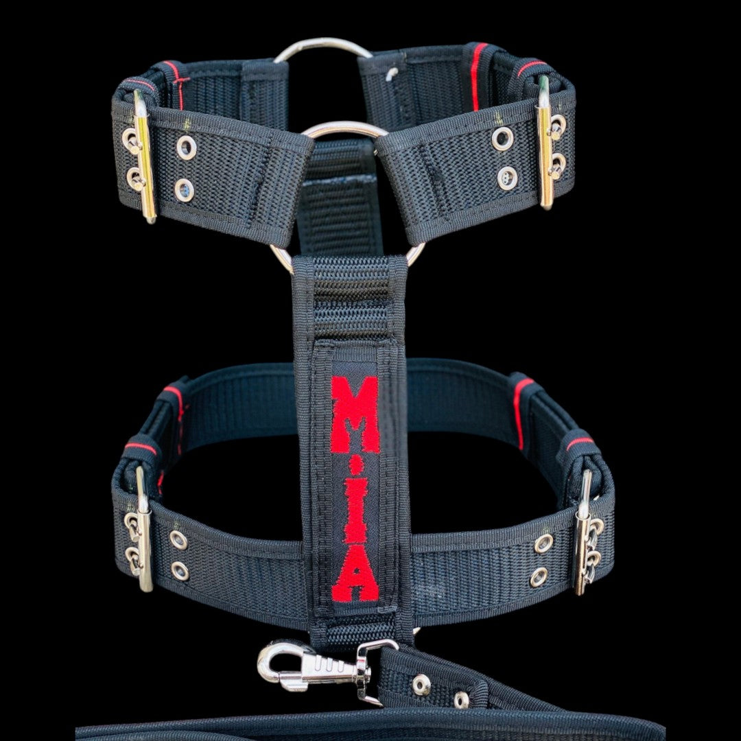 A&C Dog Collars siyah naylon köpek göğüs tasması, üzerinde kırmızı işlemeli isim detayı ve dayanıklı metal tokalar.