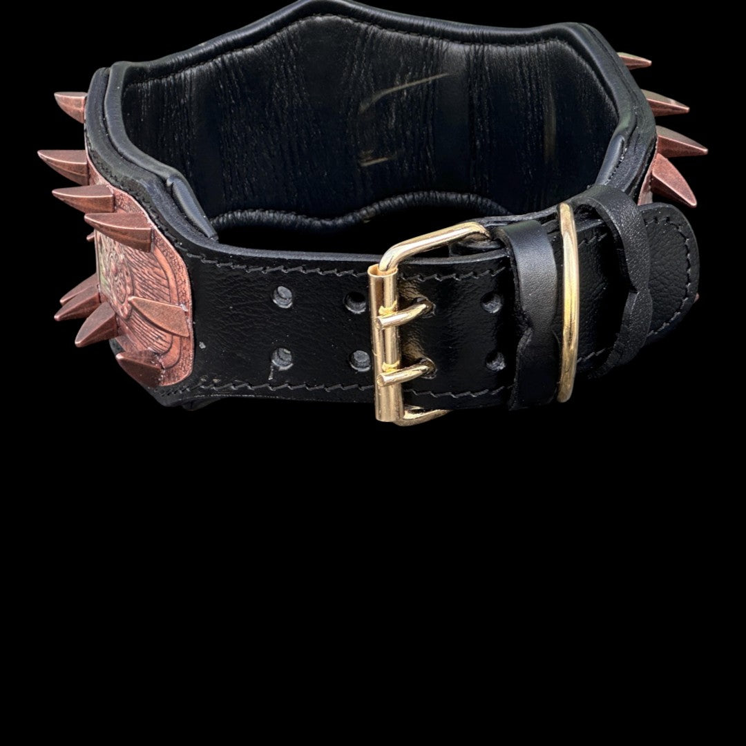 A&C Dog Collars marka, bakır çivili ve gladyatör işlemeli, siyah manda derisinden el yapımı dayanıklı köpek tasması.