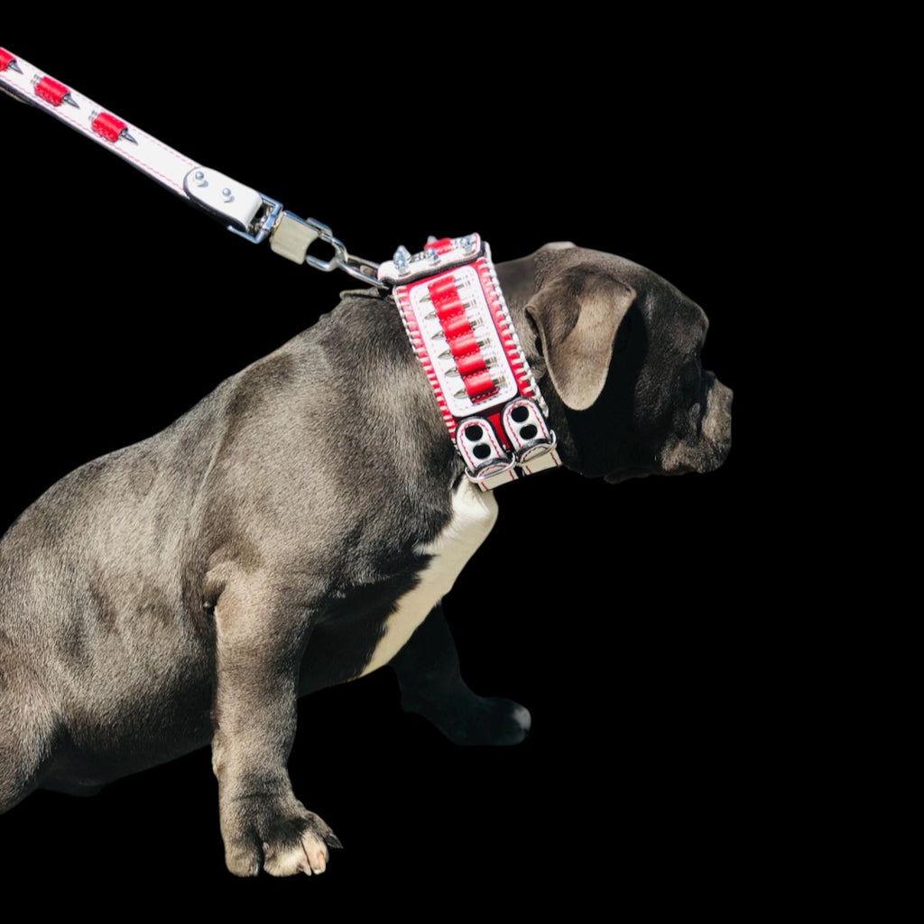 A&C Dog Collars handmade buffalo leather collar and leash set with red and white bullet accents on a grey dog