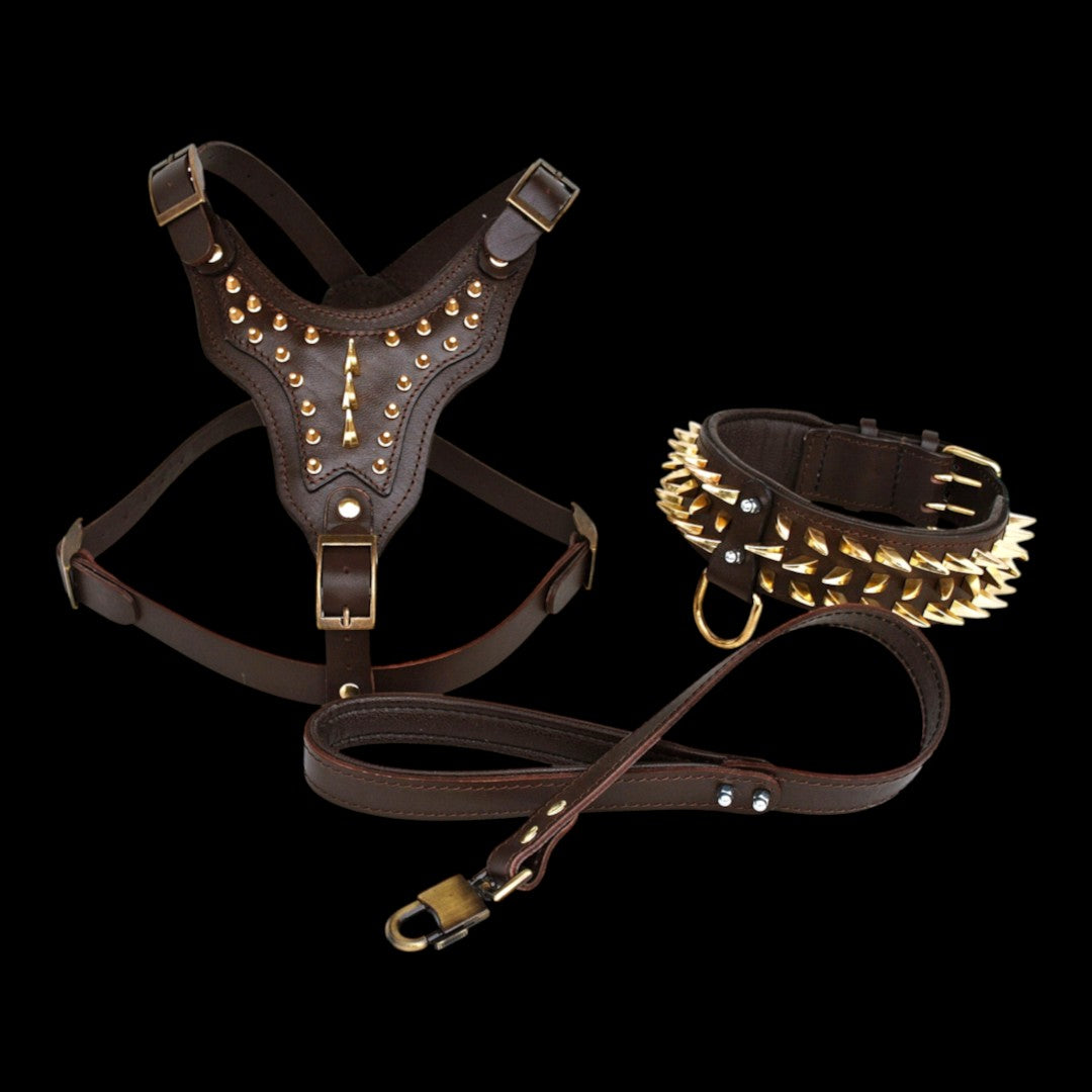 A&C Dog Collars el yapımı kahverengi manda derisi köpek göğüs tasması, çivili tasma ve deri kayış seti.