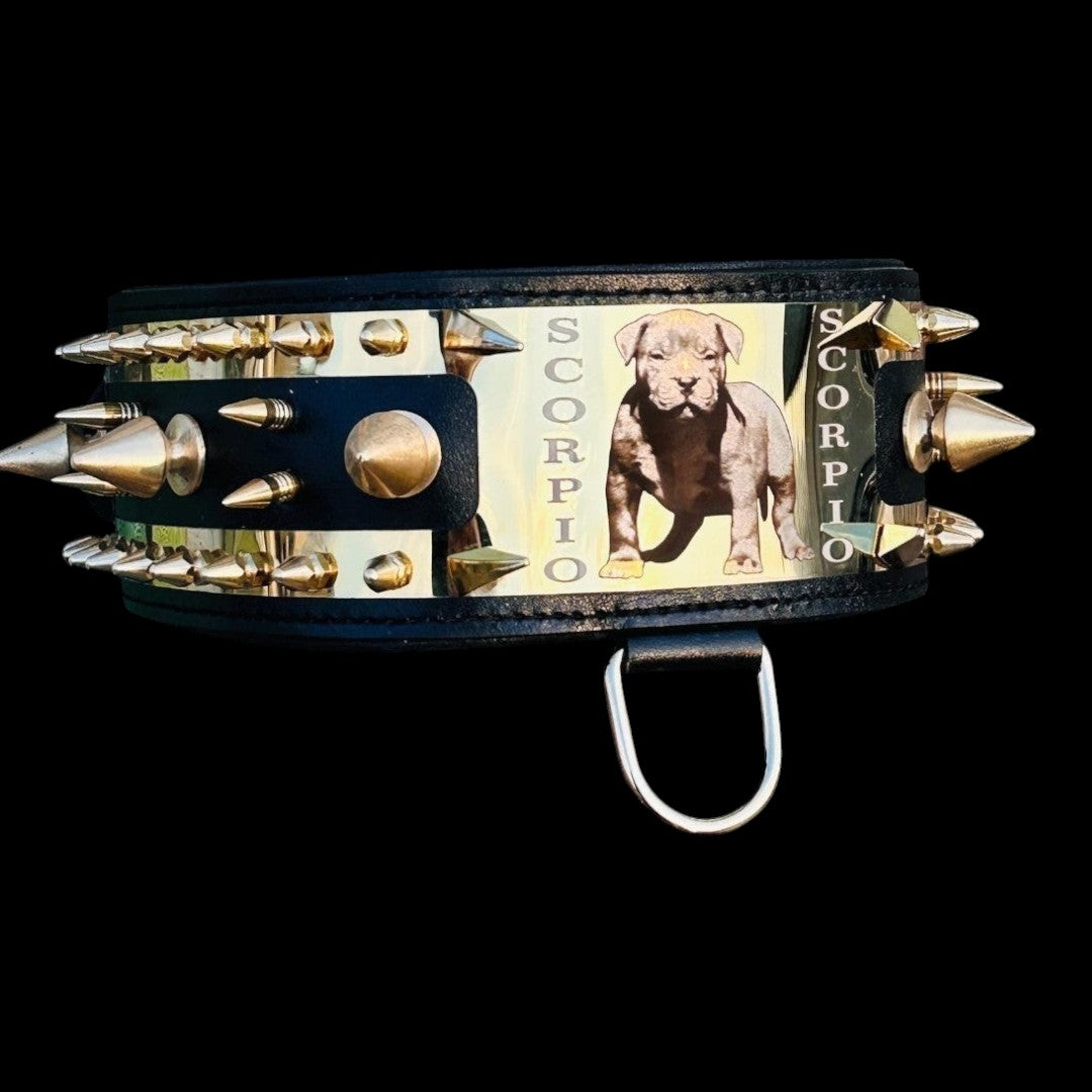 A&C Dog Collars el yapımı, altın çelik plakalı ve sivri uçlu, kişiselleştirilmiş isim yazılı geniş deri köpek tasması.