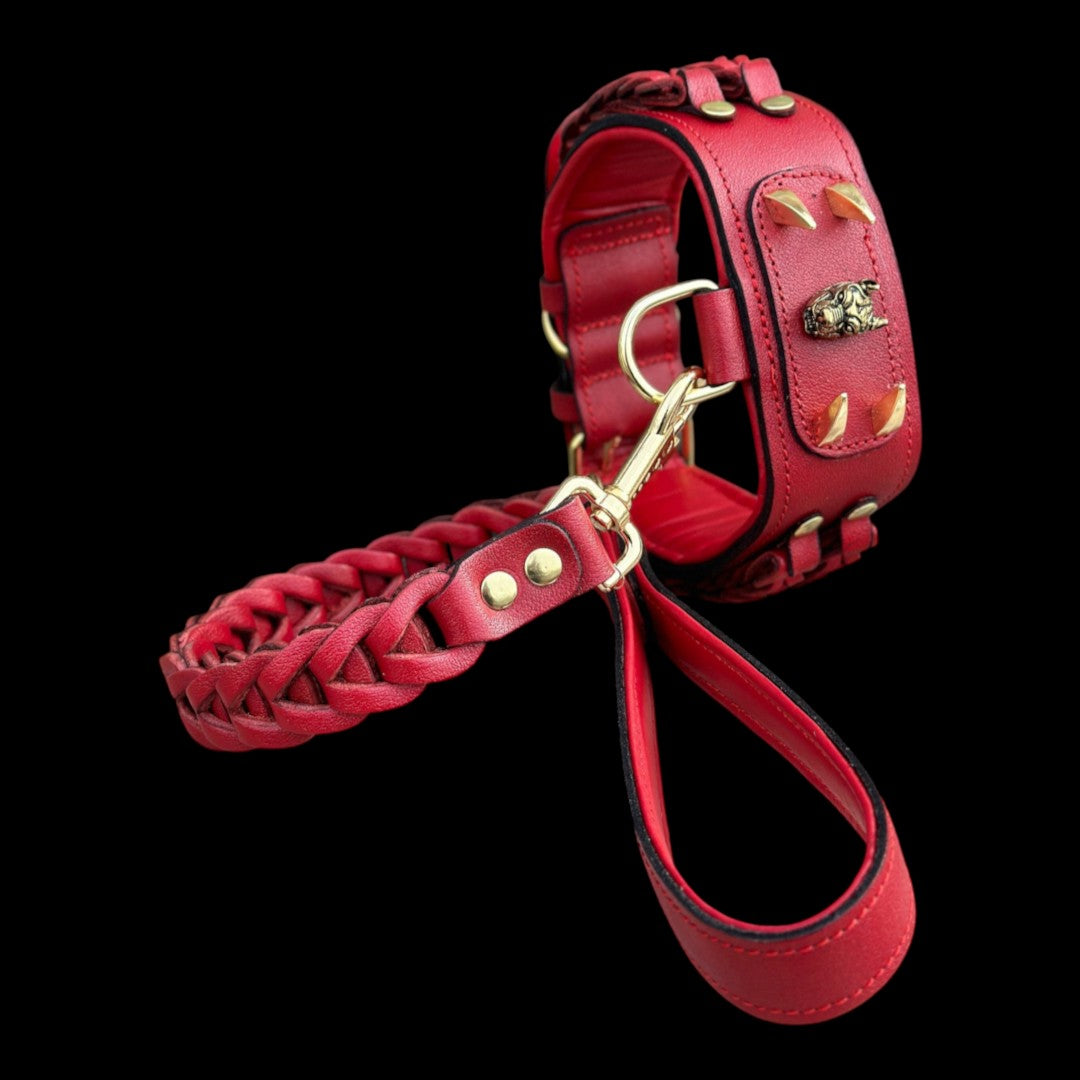 A&C Dog Collars el yapımı, altın rengi metal detaylı ve aslan figürlü kırmızı deri köpek tasması ve örgü kayış seti.
