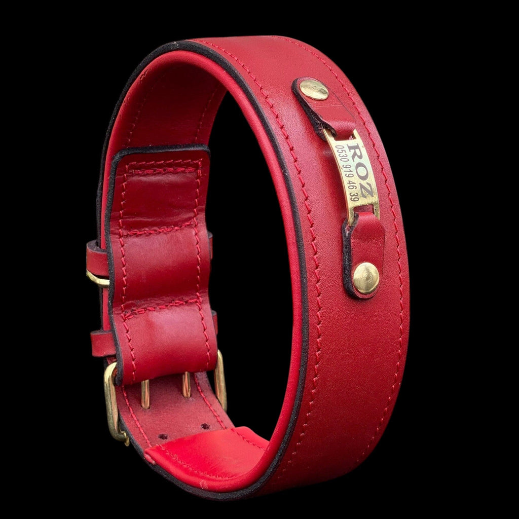 A&C Dog Collars marka, pirinç isimlikli, geniş, kırmızı manda derisi el yapımı köpek tasması
