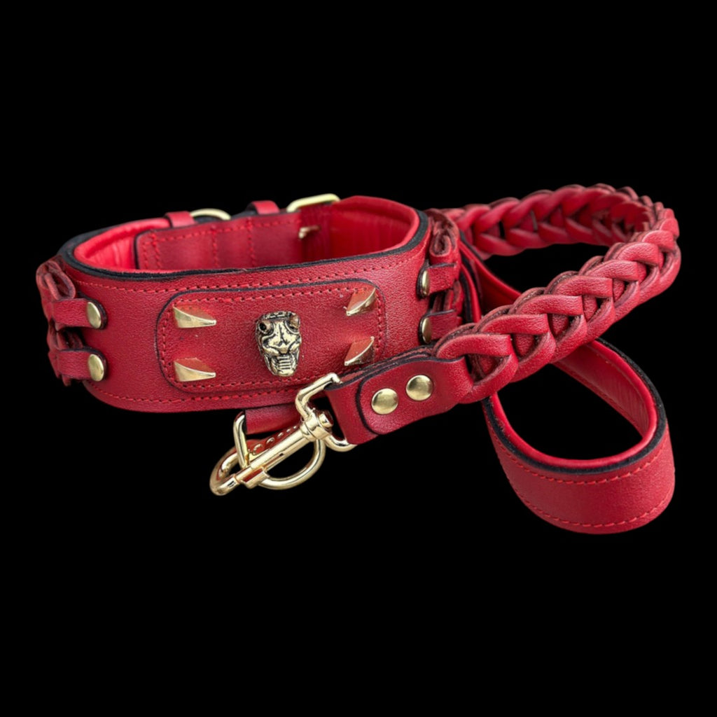 A&C Dog Collars marka, el yapımı, kırmızı manda derisi, metal detaylı ve örgülü tasarımlı şık köpek tasması ve kayışı.
