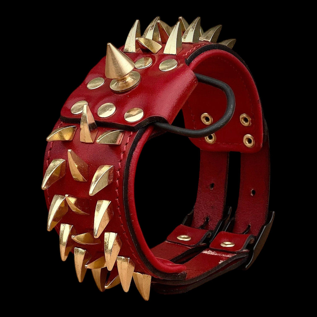 A&C Dog Collars büyük ırklar için altın dikenli, kırmızı manda derisinden geniş ve dolgulu köpek tasması.
