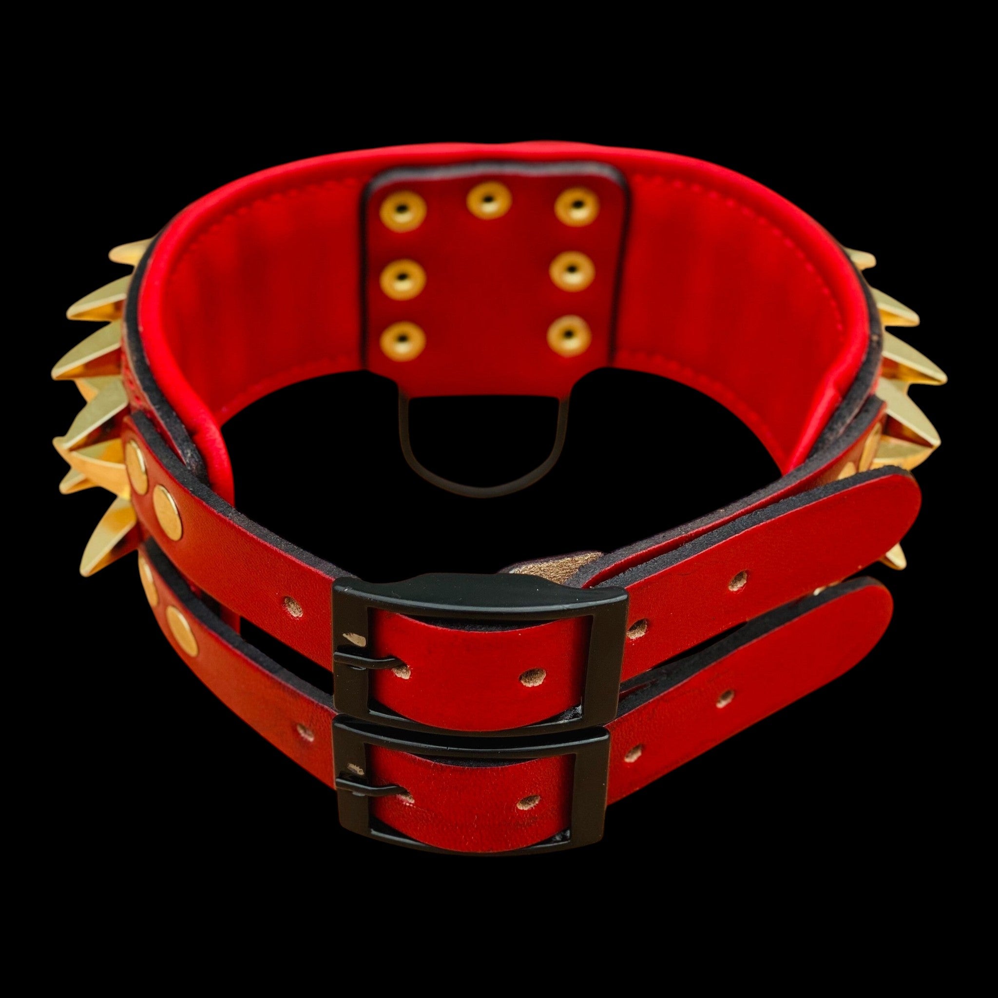 A&C Dog Collars marka, büyük ırklar için altın dikenli, kırmızı manda derisi, siyah çelik tokalı geniş köpek tasması.