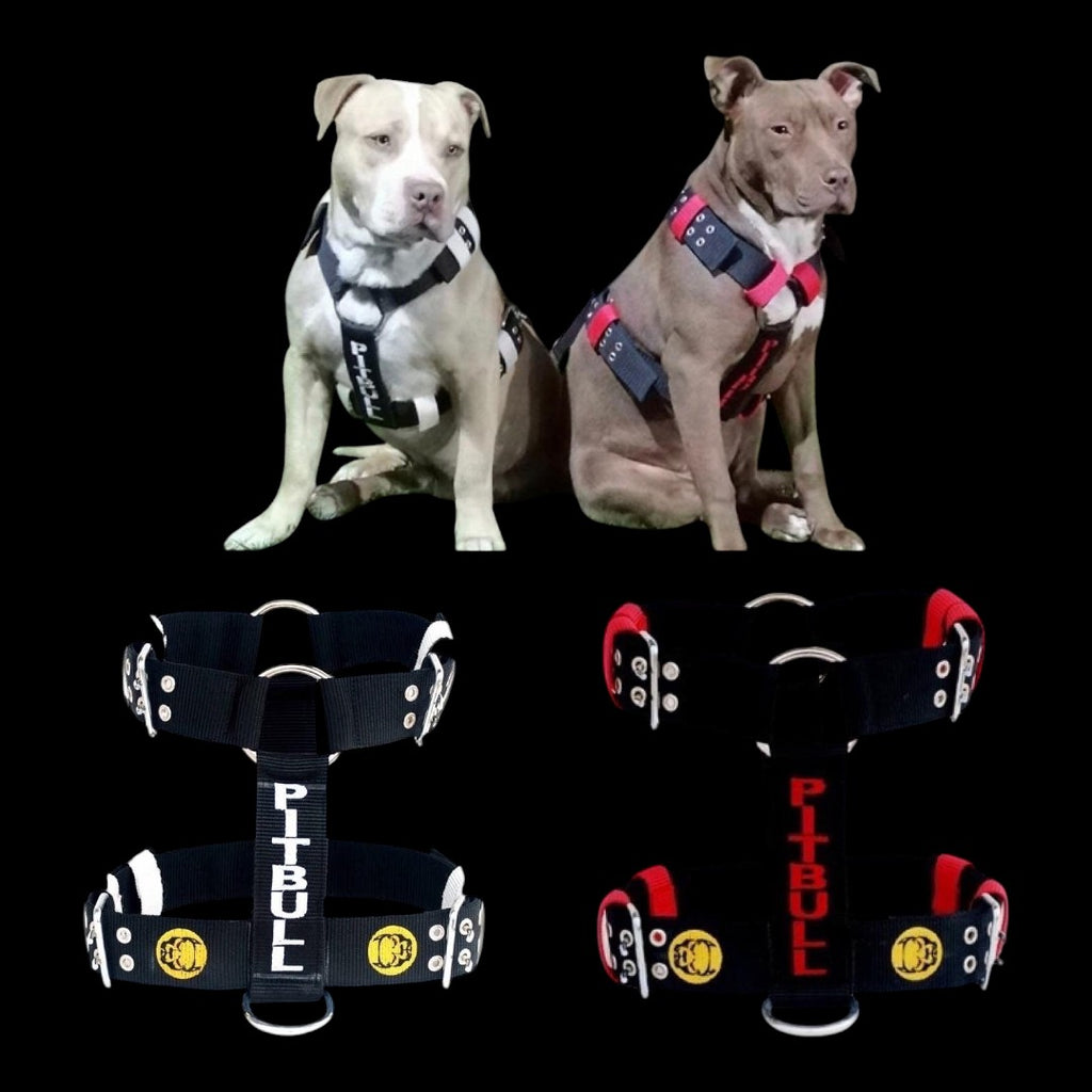 A&C Dog Collars kişiselleştirilmiş işlemeli naylon köpek göğüs tasması ve tasma seti, büyük ırklar için dayanıklı
