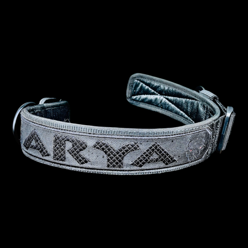 A&C Dog Collars marka, üzerinde ARYA yazılı, siyah naylon ve buffalo derisi detaylı el yapımı kişiselleştirilmiş köpek tasması
