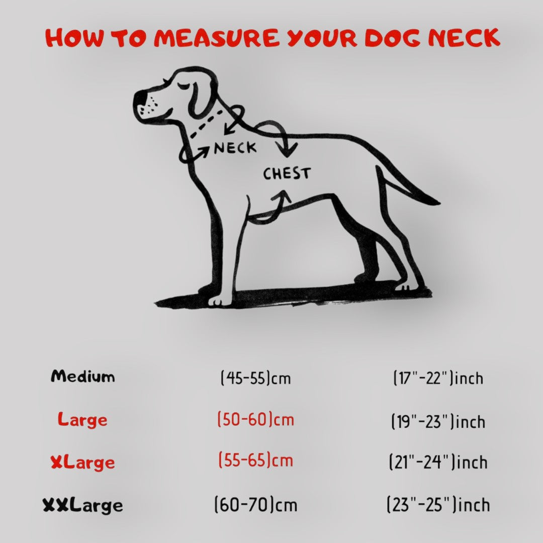 A&C Dog Collars köpek boyun ölçüsü alma rehberi ve beden tablosu görseli