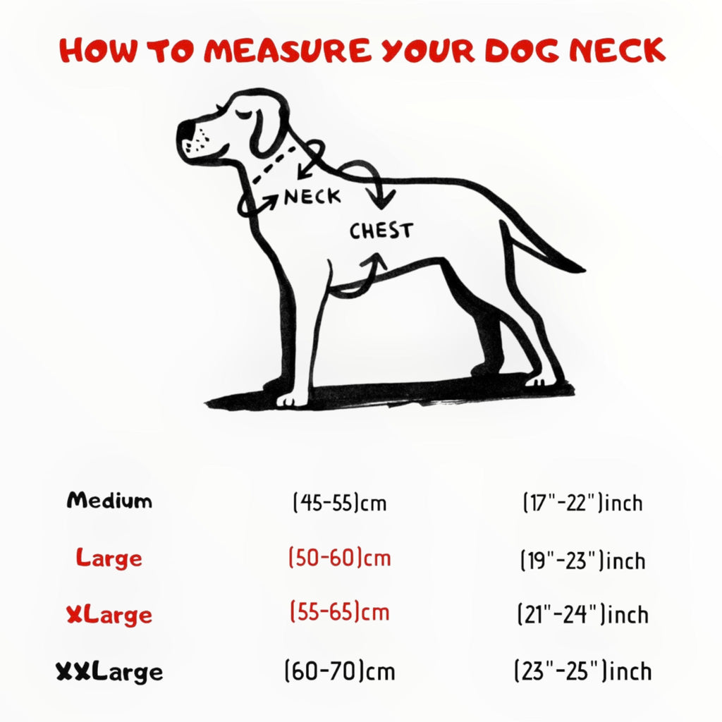 A&C Dog Collars köpek boyun ölçüsü alma rehberi, orta, büyük, ekstra büyük ve 2XL beden seçeneklerini gösteriyor.