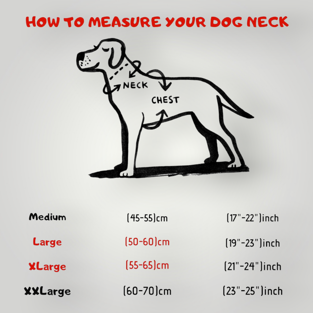 A&C Dog Collars köpek boyun ölçüsü alma rehberi, medium'dan xxl'a kadar beden tablosu ile çizim
