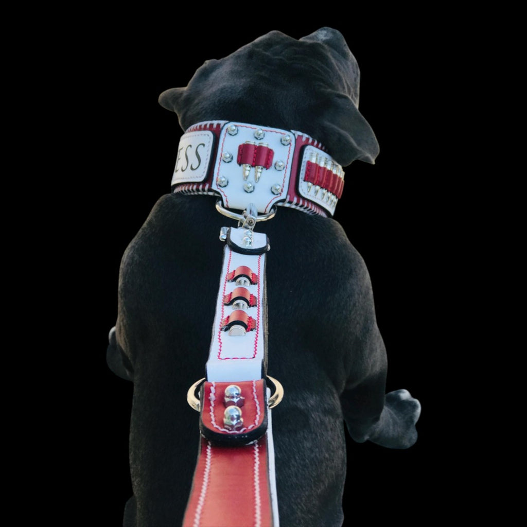 A&C Dog Collars handmade buffalo leather collar and leash set in red and white with brass bullet accents on a dog.