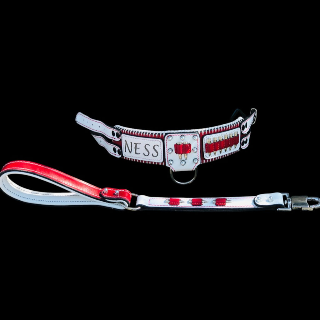 A&C Dog Collars handmade white and red buffalo leather collar and leash set with brass bullet accents and name tag.