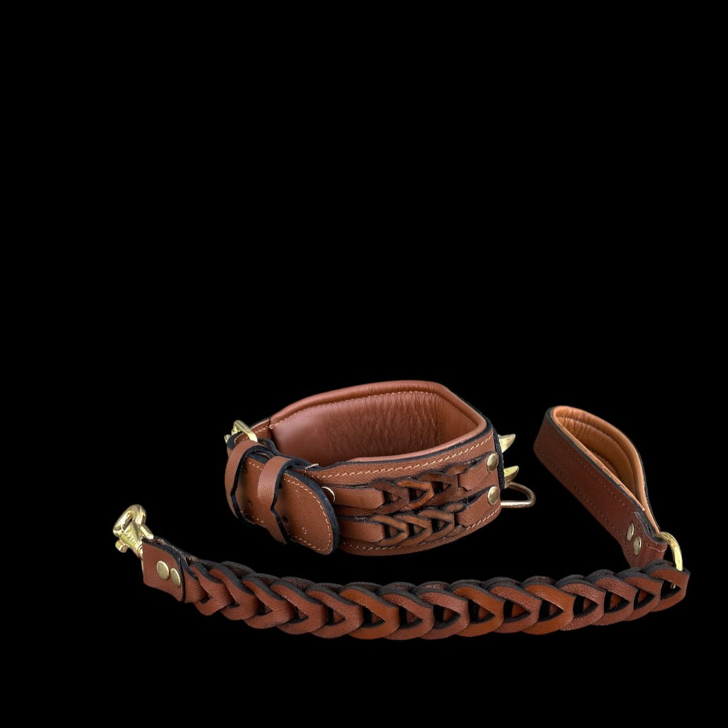 A&C Dog Collars el yapımı, kahverengi, örgülü deri köpek tasması ve uyumlu deri kayış seti.
