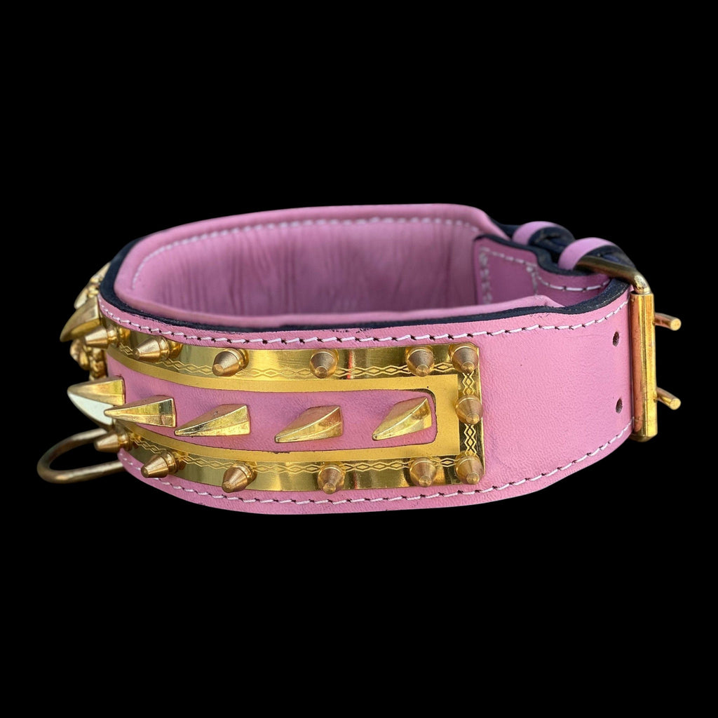 A&C Dog Collars marka pembe renkli, altın rengi çivili detaylara sahip el yapımı deri köpek tasması.