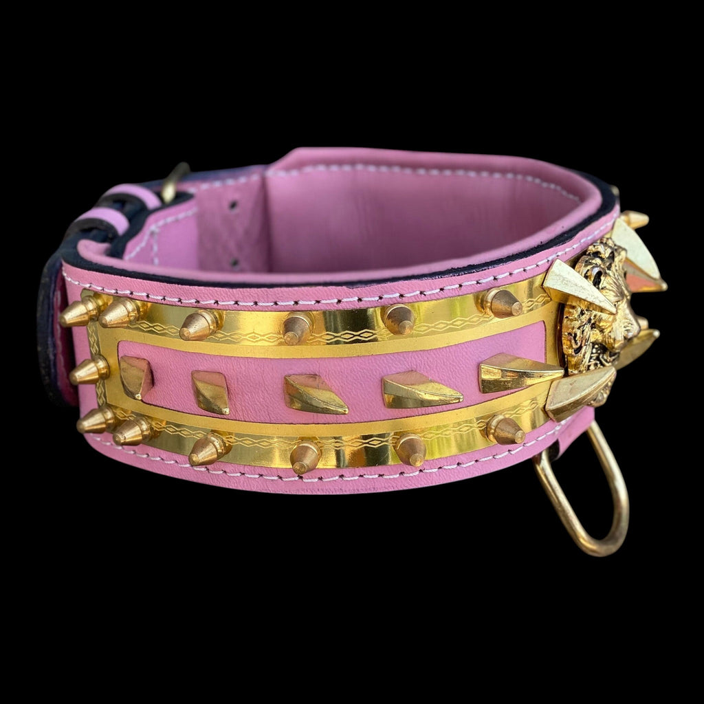 A&C Dog Collars marka, pembe deri, altın rengi metal çivili ve aslan figürlü el yapımı kişiselleştirilebilir köpek tasması