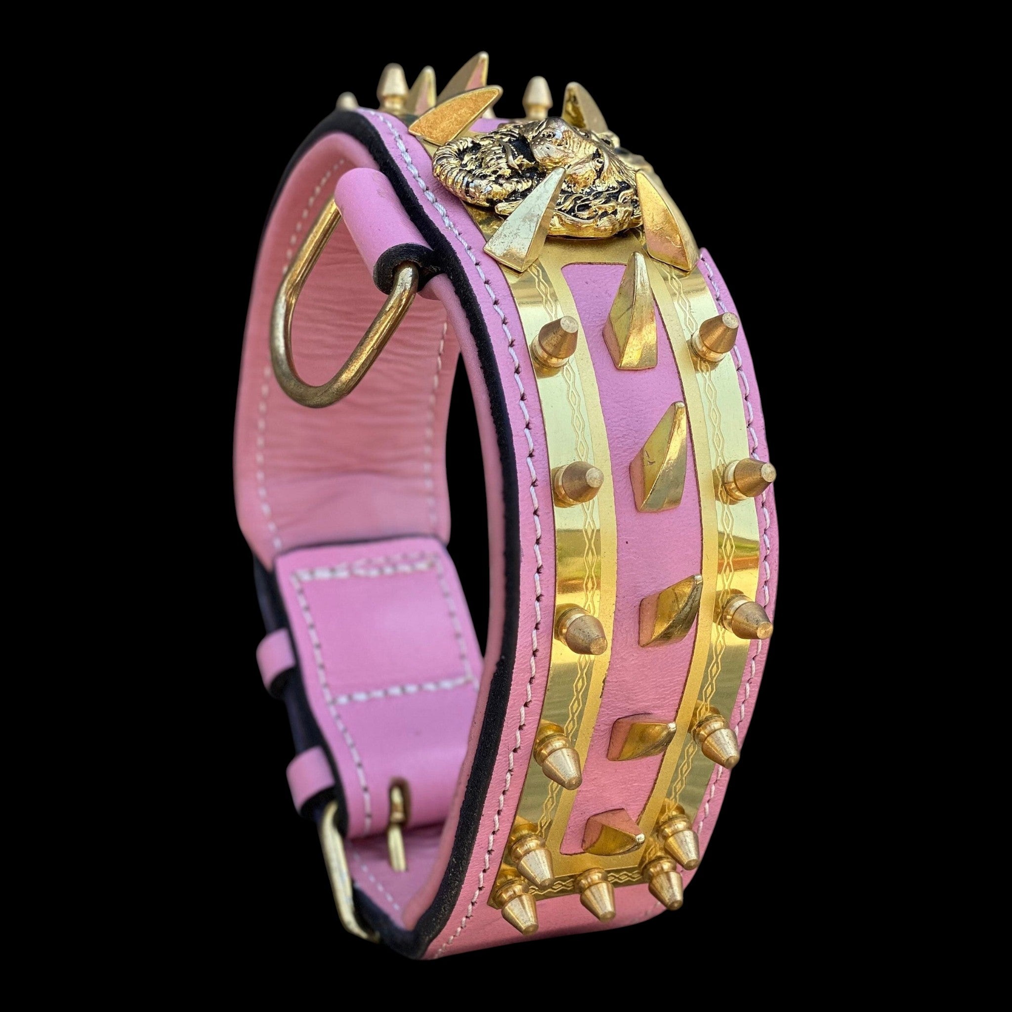 A&C Dog Collars marka pembe deri köpek tasması, altın rengi çivili detaylar ve aslan figürlü metal isim plakası ile.