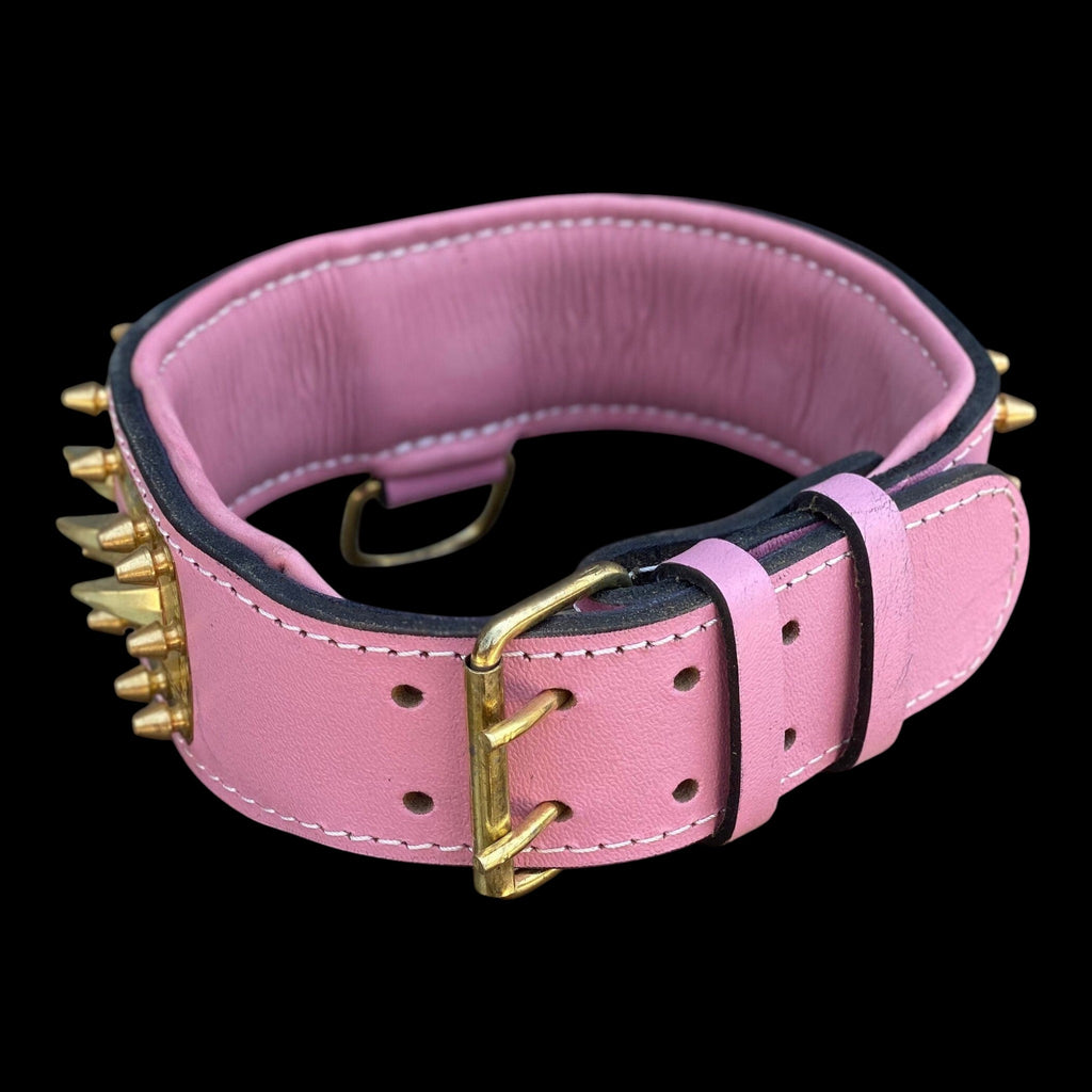 A&C Dog Collars el yapımı pembe deri köpek tasması, altın rengi sivri uçlu detaylar ve sağlam metal tokalı tasarım.