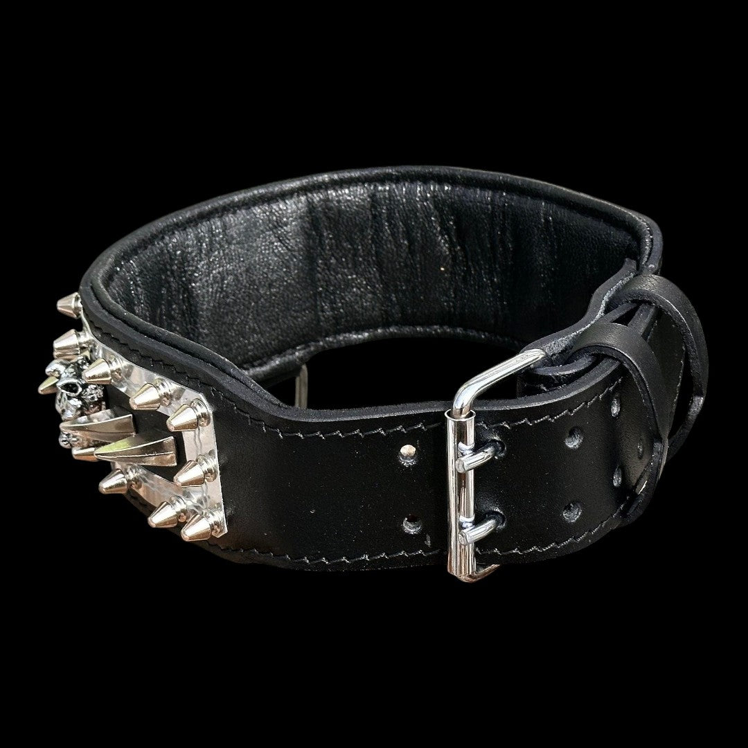 A&C Dog Collars marka siyah deri köpek tasması, metal çivili ve kurukafa detaylı, dayanıklı ve şık tasarım.