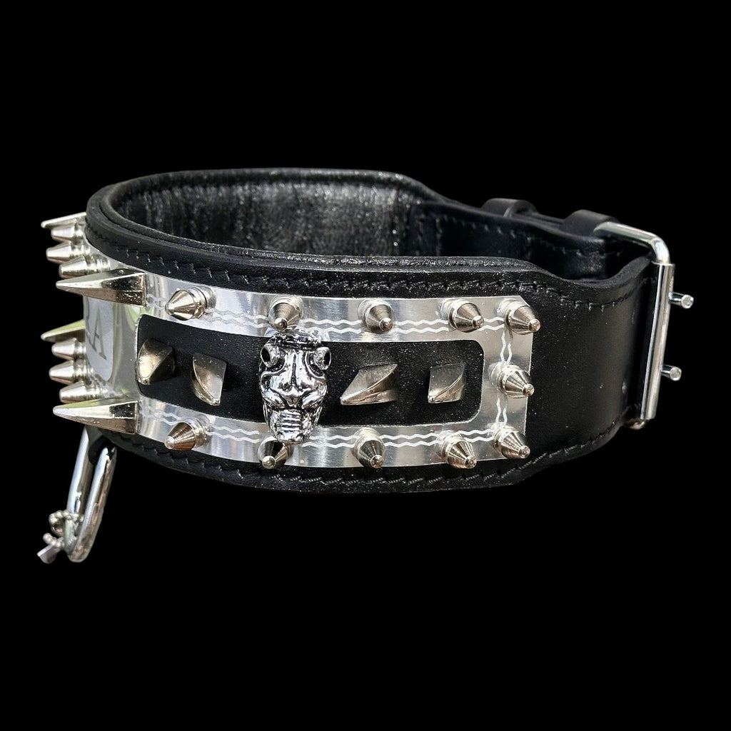 A&C Dog Collars marka siyah deri köpek tasması, metal çivili ve kurukafa detaylı, paslanmaz çelik donanımlı.