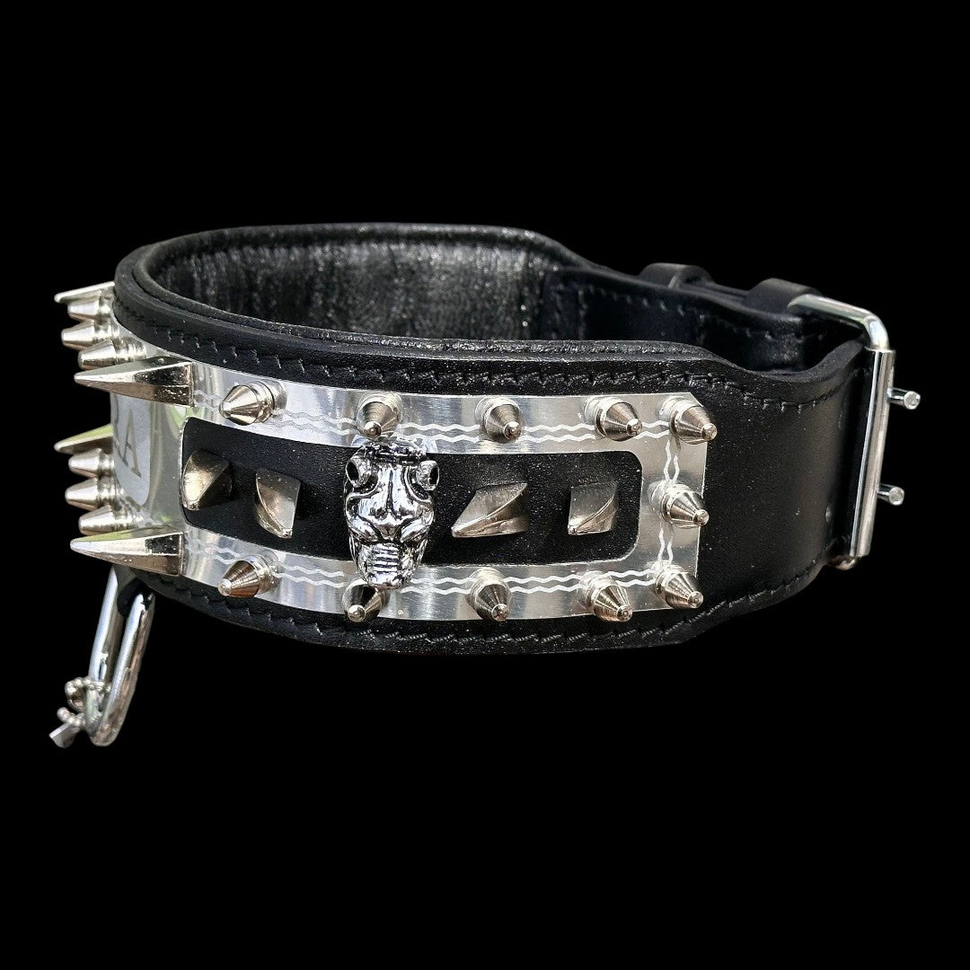 A&C Dog Collars marka siyah deri köpek tasması, metal çivili ve kurukafa detaylı, paslanmaz çelik donanımlı.
