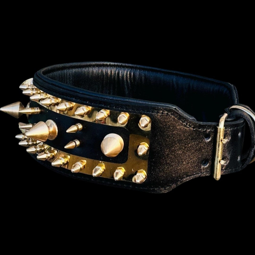 A&C Dog Collars marka, büyük ırklar için altın çivili ve metal plakalı, siyah deri, el yapımı lüks köpek tasması.