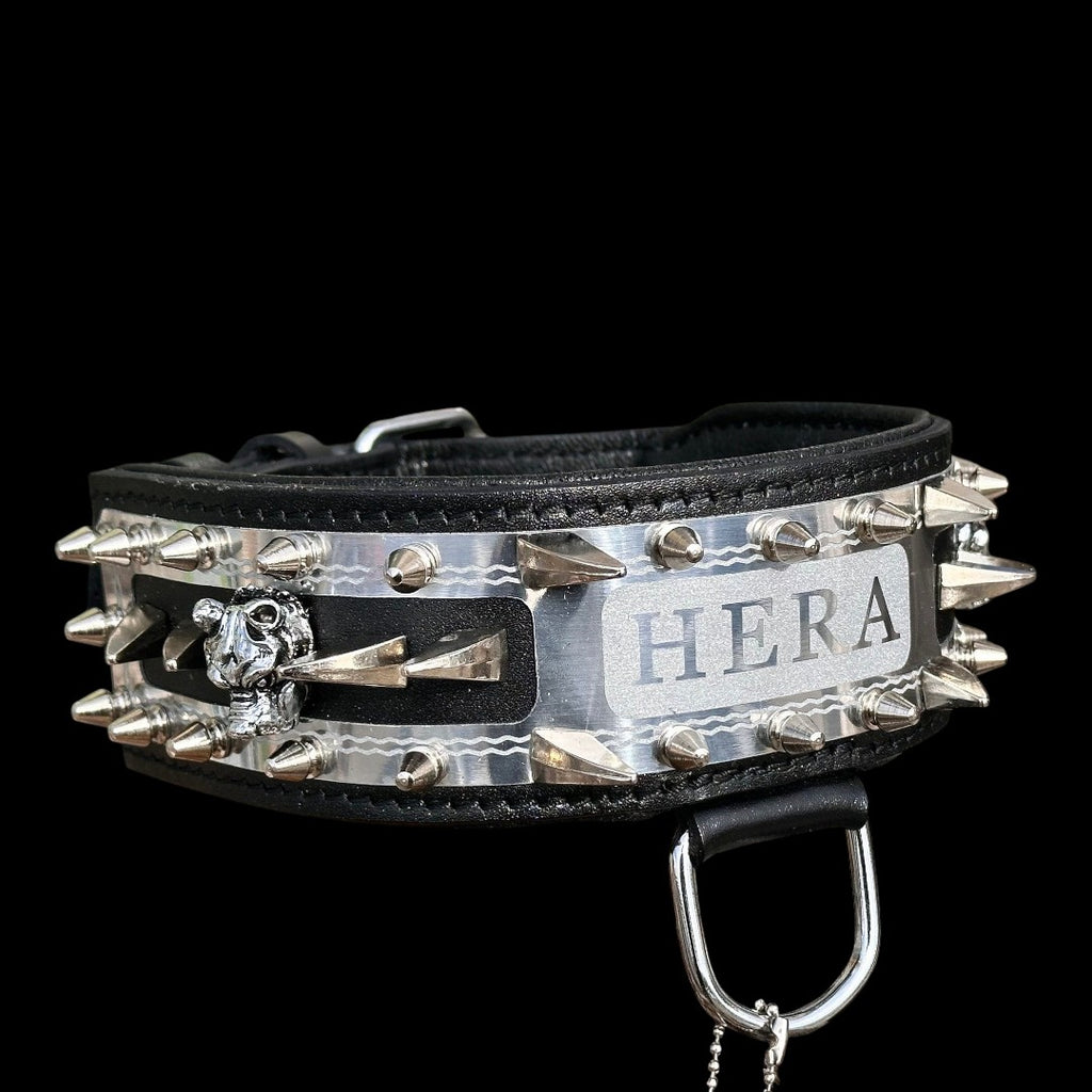 A&C Dog Collars marka, HERA yazılı, metal çivili ve aslan figürlü, siyah deri el yapımı kişiselleştirilmiş köpek tasması