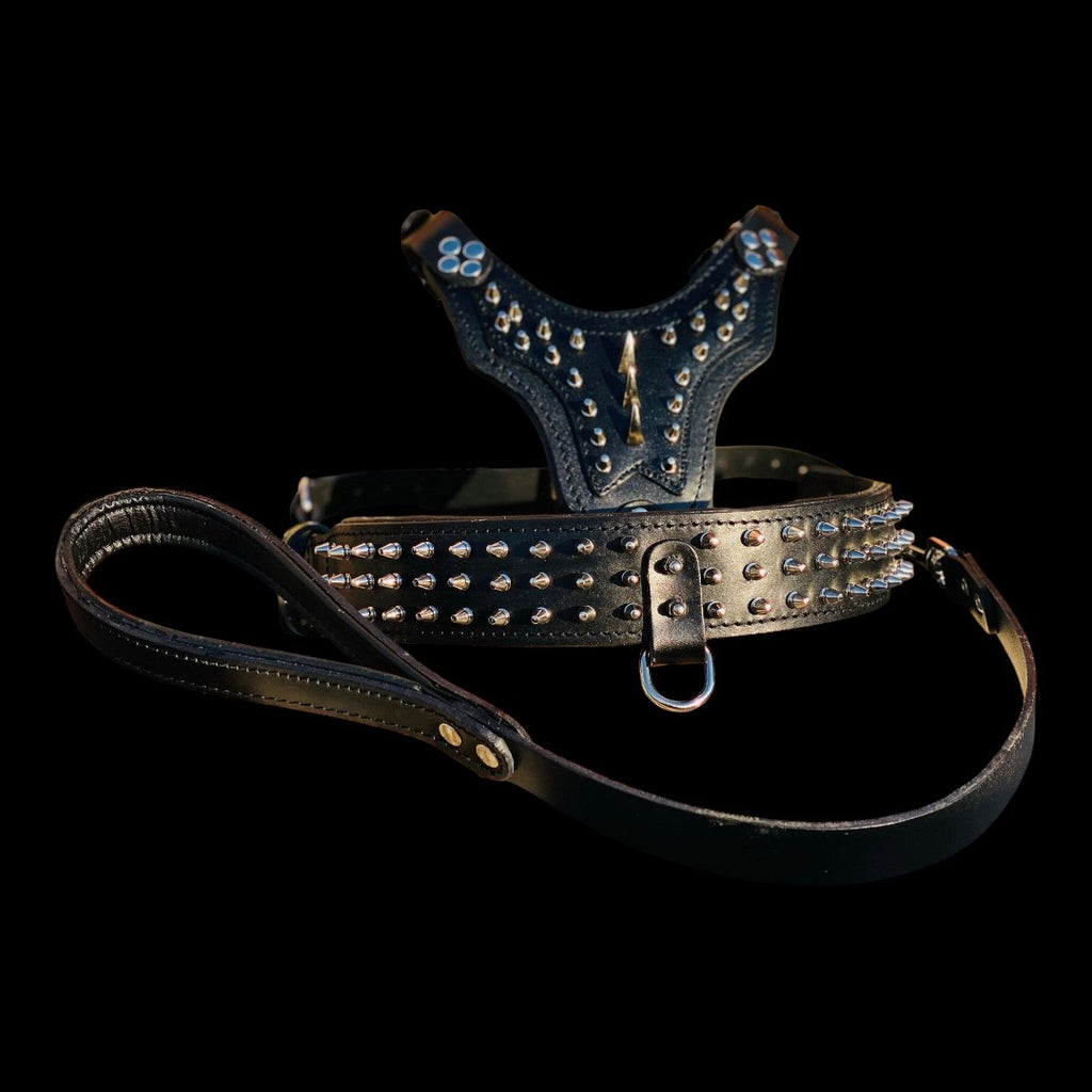 A&C Dog Collars el yapımı siyah manda derisi çivili köpek göğüs tasması, tasma kayışı ve altın detaylı özel set