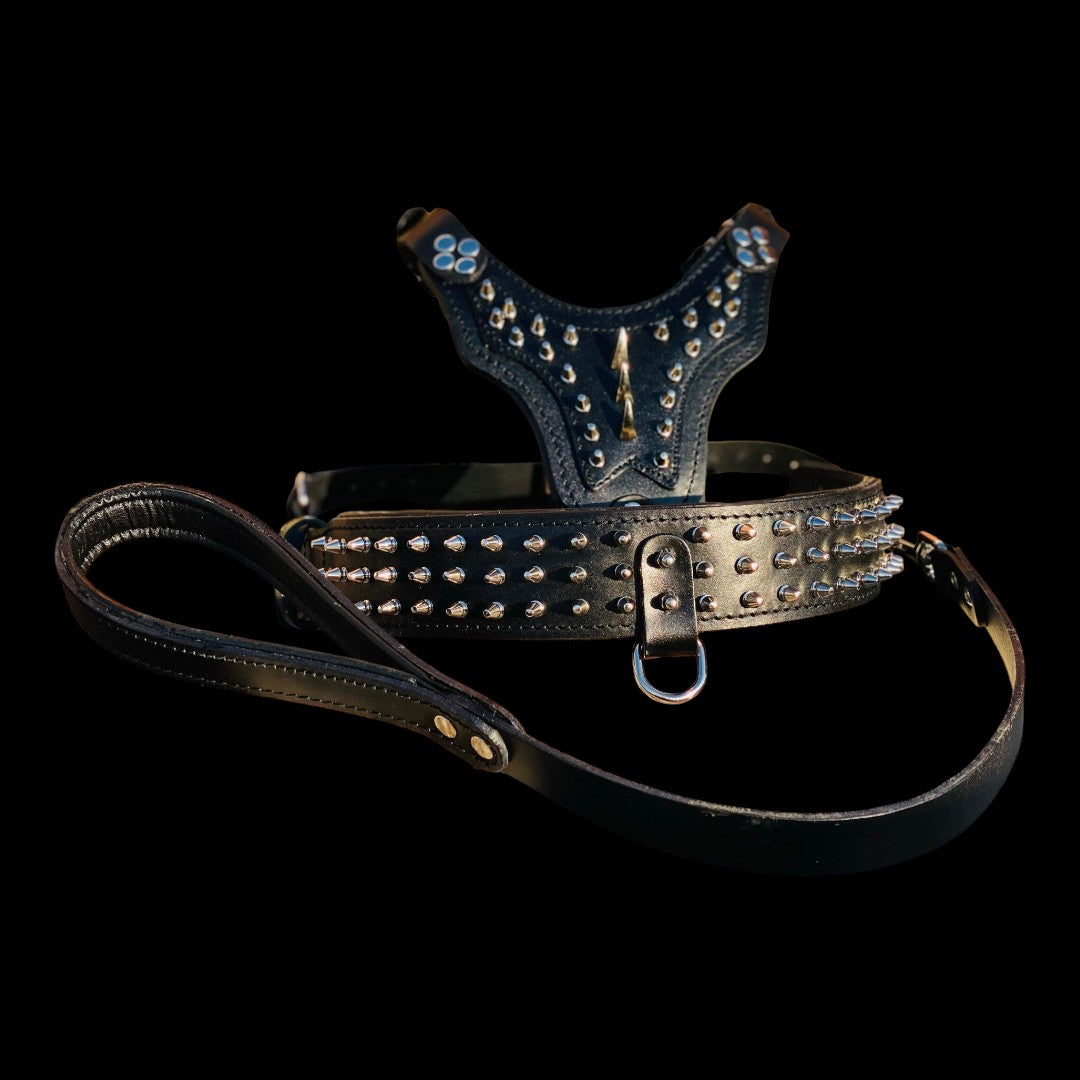 A&C Dog Collars el yapımı siyah manda derisi çivili köpek göğüs tasması, tasma kayışı ve altın detaylı özel set