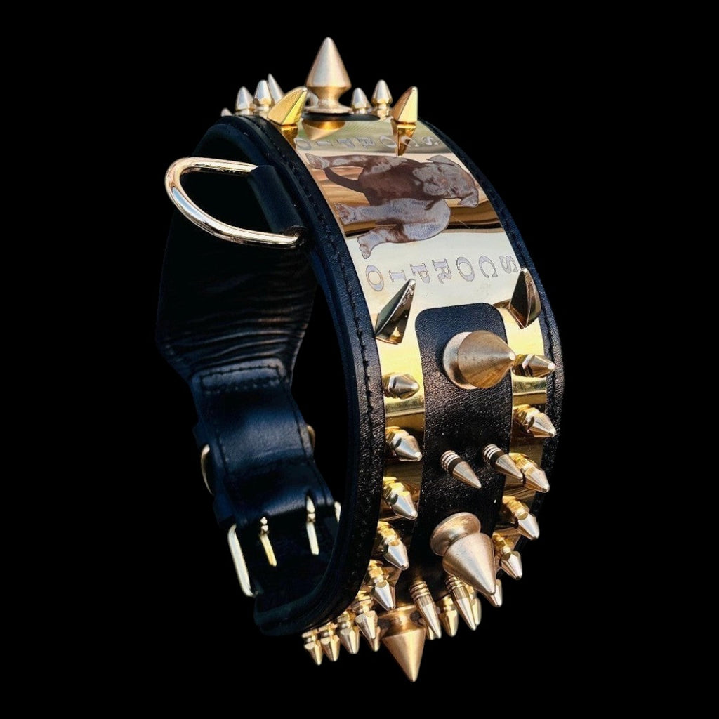 A&C Dog Collars marka, altın çelik plakalı ve sivri uçlu, büyük ırklar için özel tasarım siyah deri köpek tasması.