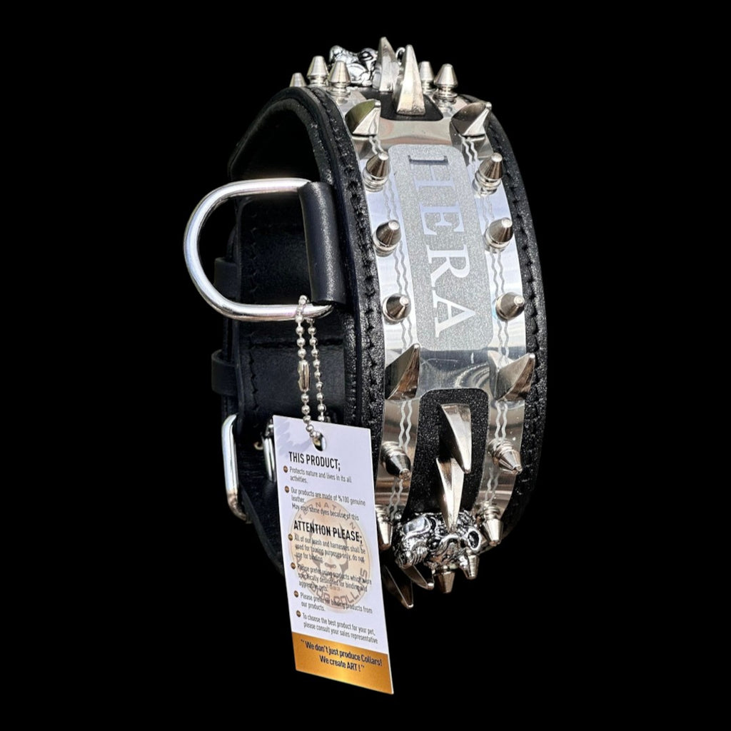 A&C Dog Collars marka, üzerinde HERA yazılı metal isim plakası ve sivri uçlu çiviler bulunan siyah deri köpek tasması