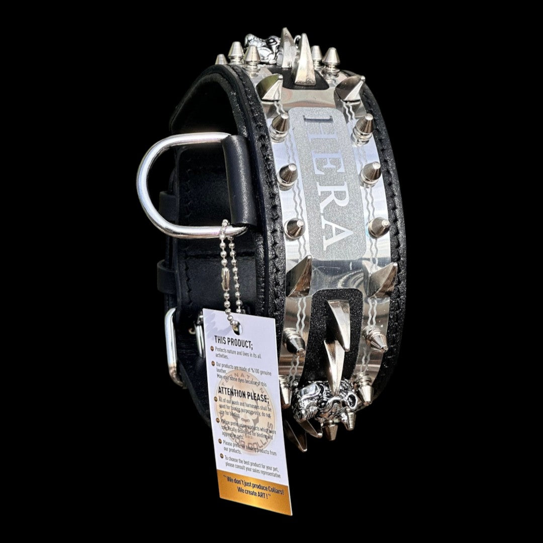 A&C Dog Collars marka, üzerinde HERA yazılı metal isim plakası ve sivri uçlu çiviler bulunan siyah deri köpek tasması